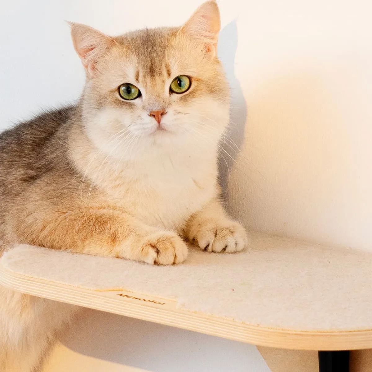 Bushwick Cat Perch