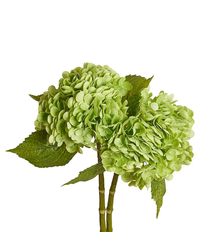 French Hydrangea Green - Set of 2