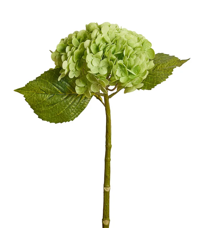 French Hydrangea Green - Set of 2