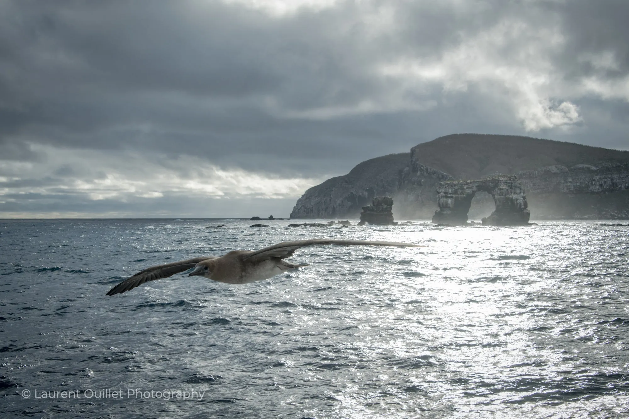 Galapagos Islands 4/26 - 5/3/2025