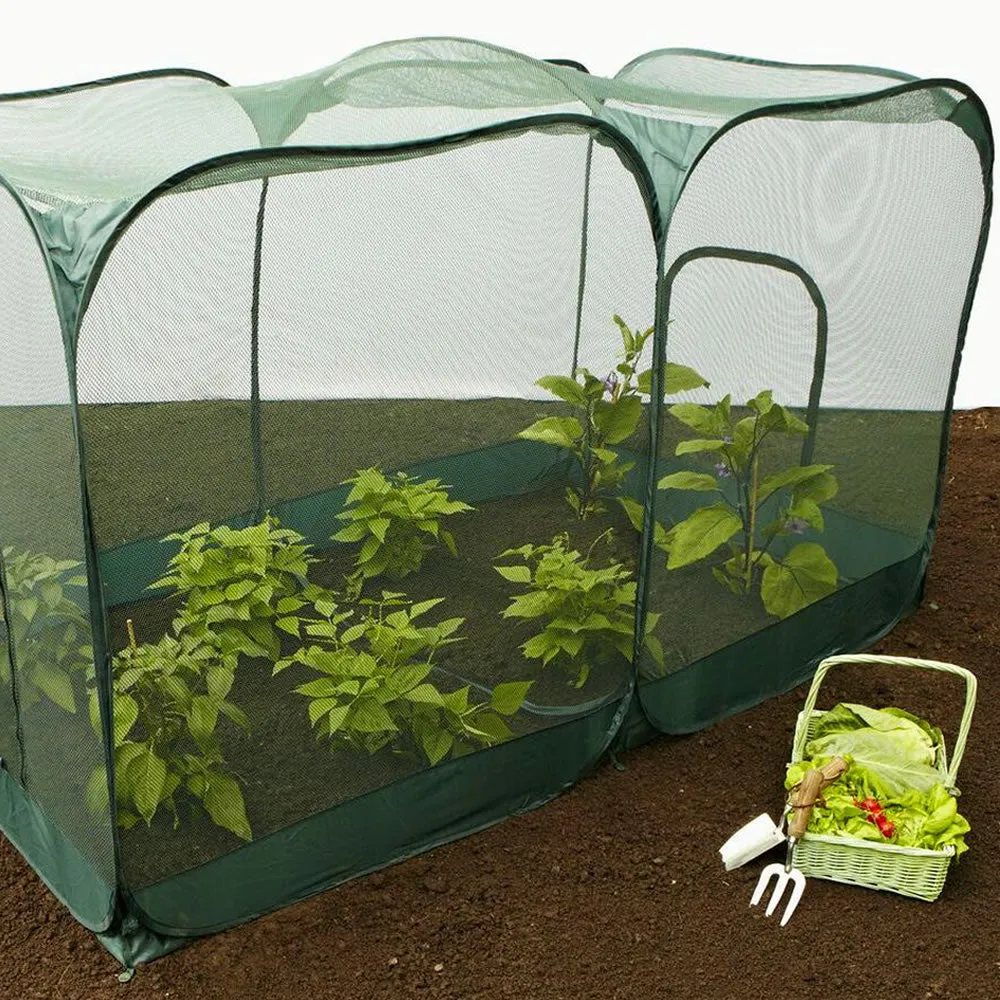 Giant Pop Up Crop Cage & Brassica Protection Cover