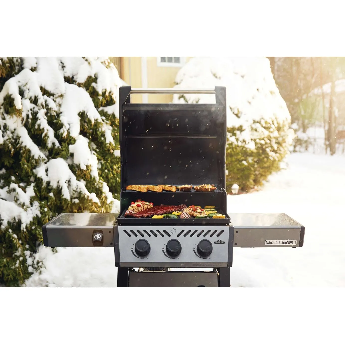 Napoleon Freestyle 365 Gas Grill F365DPGT