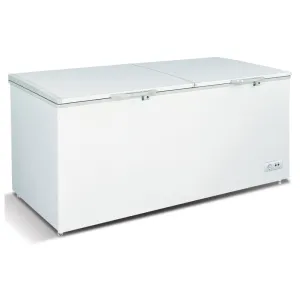 Omcan - FR-CN-0600, Commercial 76" Solid Door Chest Freezer