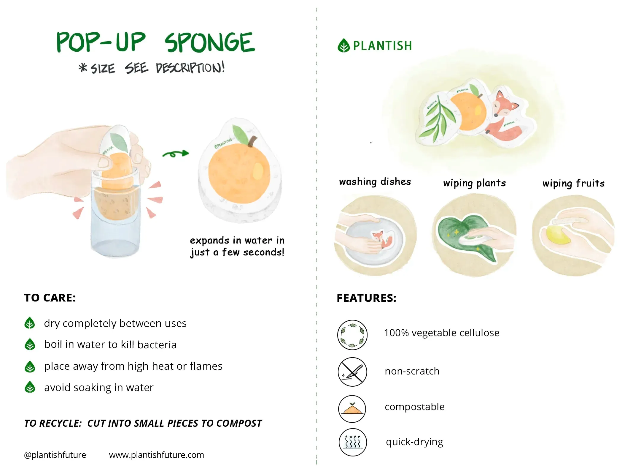 Orange You Glad - Pop up Sponge