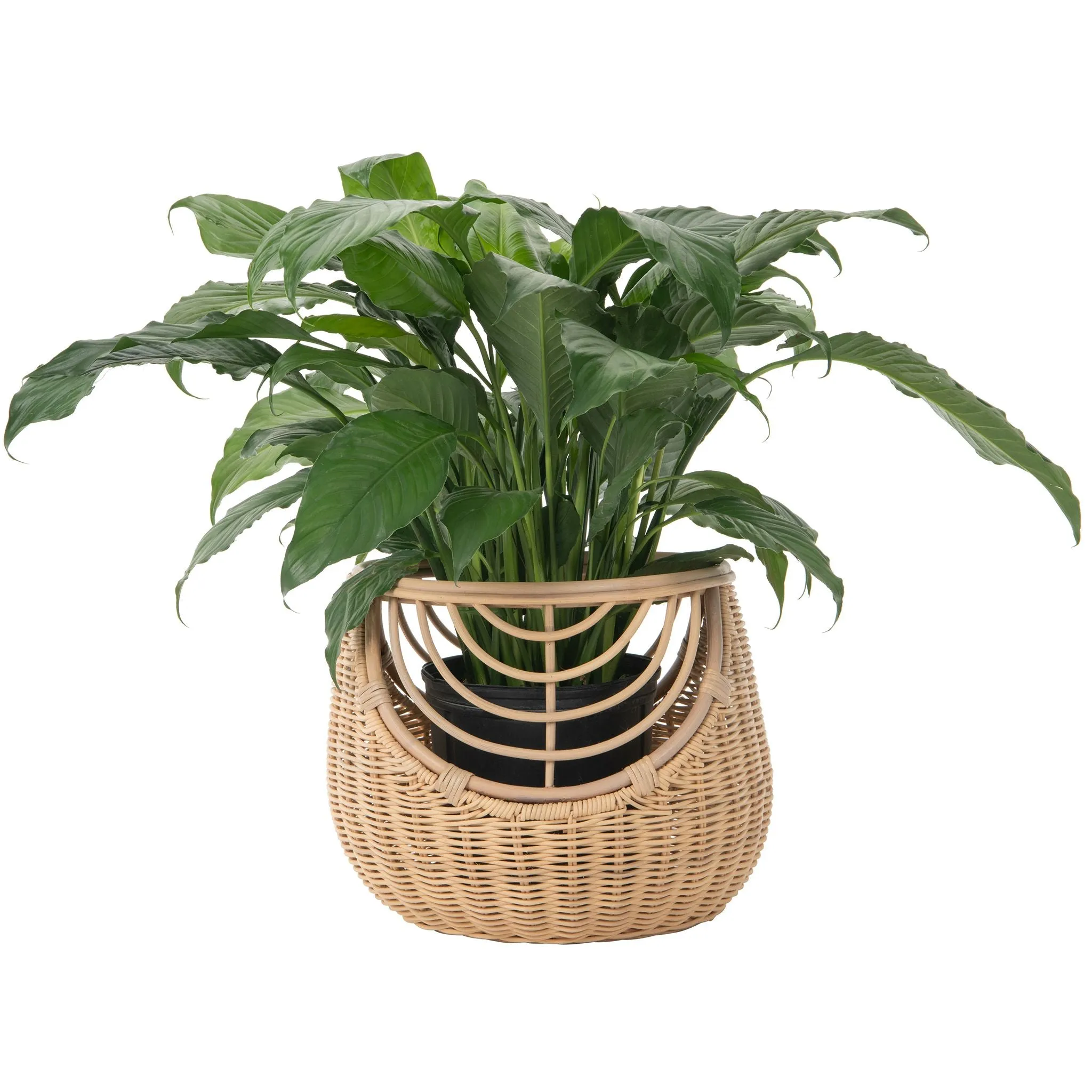 Spider Web Round Wicker Decorative Storage Basket, Natural