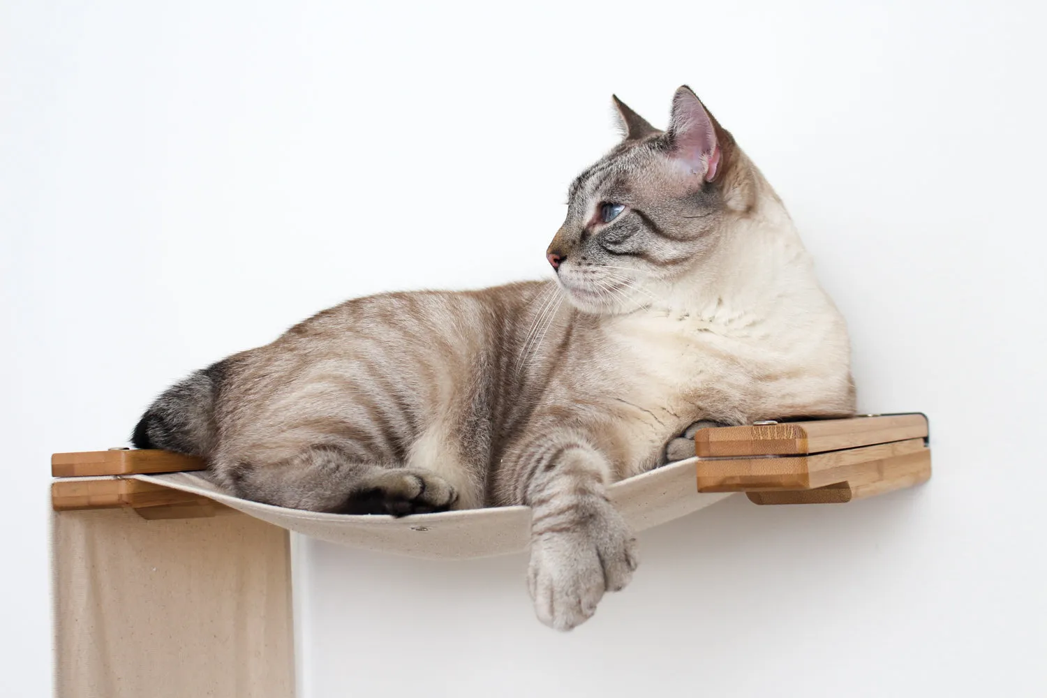 The Dakota Cat Condo (Cat Scratcher Lounger)