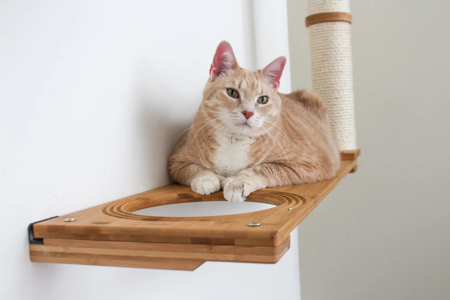 The Dakota Cat Condo (Cat Scratcher Lounger)