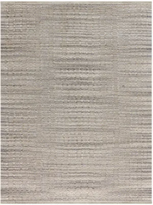 Zola Farmhouse Gray Flat-Weave Rug 2'x3'